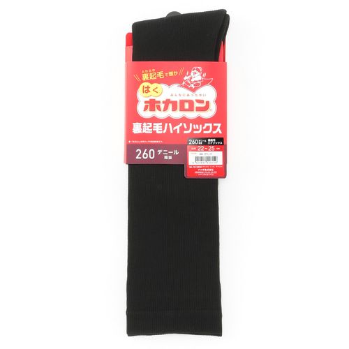 4550667026159







アツギ
ホカロン ふわふわ 裏起毛 ハイソックス