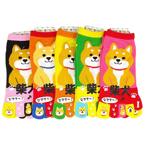 キングオリジナル
おもしろソックス 5本指 柴犬