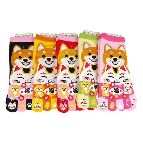 キングオリジナル
おもしろソックス 5本指 柴犬と招き猫