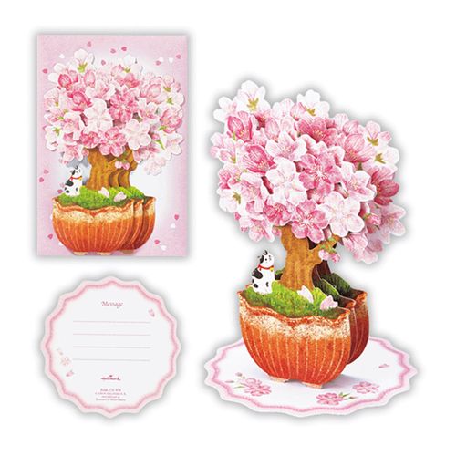 4961099814380



814380



日本ホールマーク
桜盆栽2 春柄立体グリーティングカード