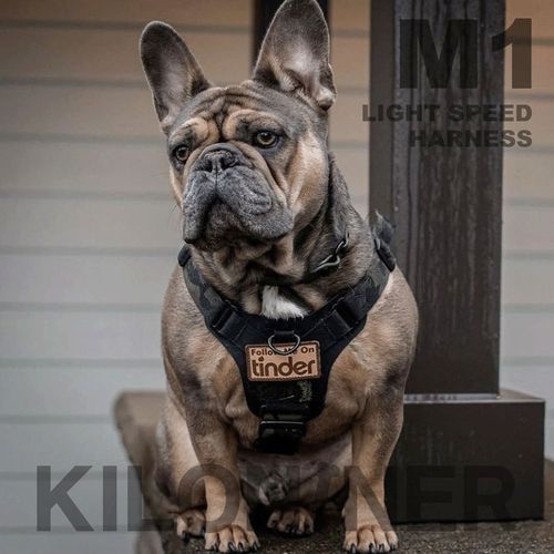 0810147081240







ＳＵＮＧＲＡＮ
M1 Light Speed Harness M