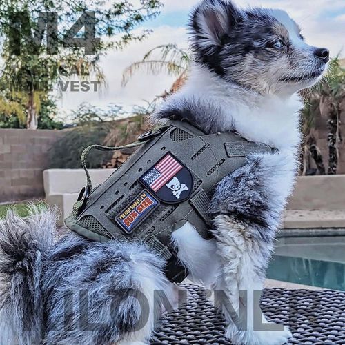 0810147080595







ＳＵＮＧＲＡＮ
M4 Tactical MOLLE Vest Laser Cut XXXS