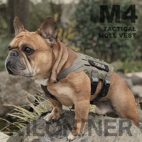 0810147080656







ＳＵＮＧＲＡＮ
M4 Tactical MOLLE Vest Laser Cut XXS