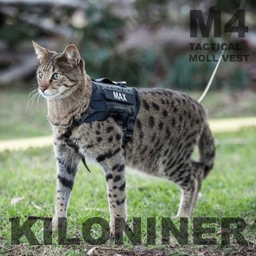 0810147080717







ＳＵＮＧＲＡＮ
M4 Tactical MOLLE Vest Laser Cut XS