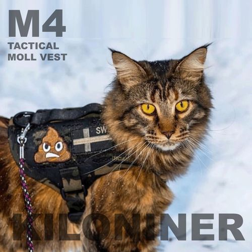 0810147080779







ＳＵＮＧＲＡＮ
M4 Tactical MOLLE Vest Laser Cut S