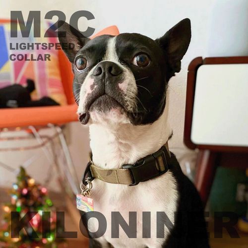 0810147080274







ＳＵＮＧＲＡＮ
M2C Lightspeed Collar XS～S