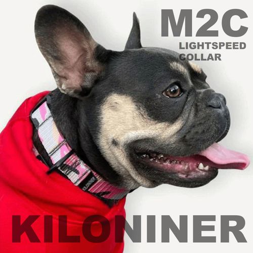 0810147082209







ＳＵＮＧＲＡＮ
M2C Lightspeed Collar M～L