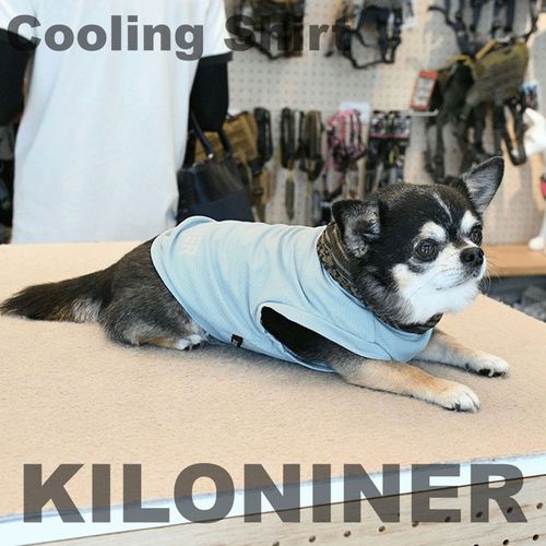 4580761427866







ＳＵＮＧＲＡＮ
JP Cooling Shirt XS～S