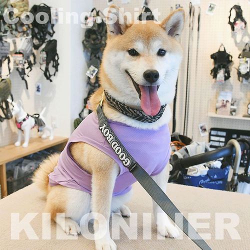 4580761427927







ＳＵＮＧＲＡＮ
JP Cooling Shirt M～L