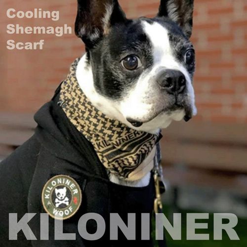 0810147081950







ＳＵＮＧＲＡＮ
Cooling Shemagh Scarf XS～M