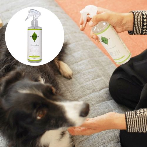 4562428540132



ﾉｽﾞﾙﾂｷ 300ML



スタンダード
WAFONA 犬用 オールインワンスプレー ノズル付き 300ml