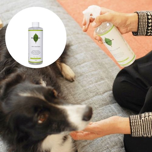 4562428540149



ﾂｹｶｴ 300ML



スタンダード
WAFONA 犬用 オールインワンスプレー 付替ボトル 300ml