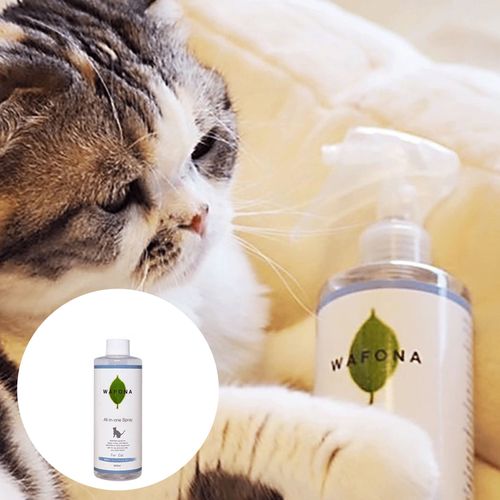 4562428540163



ﾂｹｶｴ 300ML



スタンダード
WAFONA 猫用 オールインワンスプレー 付替え 300ml