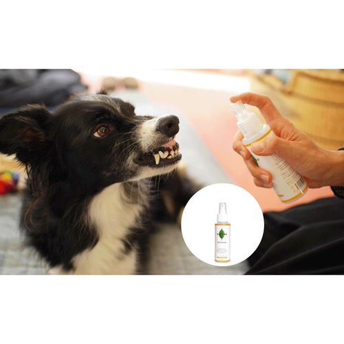 4562428540170



100ML



スタンダード
WAFONA オーラルケアスプレー 100ml