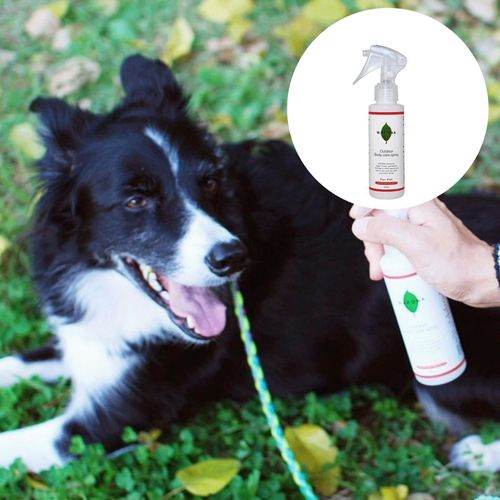 4562428540019



120ML



スタンダード
WAFONA アウトドアボディケアスプレー 120ml