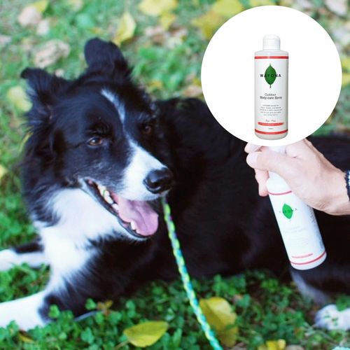 4562428540347



ﾂﾒｶｴ 300ML



スタンダード
WAFONA アウトドアボディケアスプレー 詰替ボトル 300ml