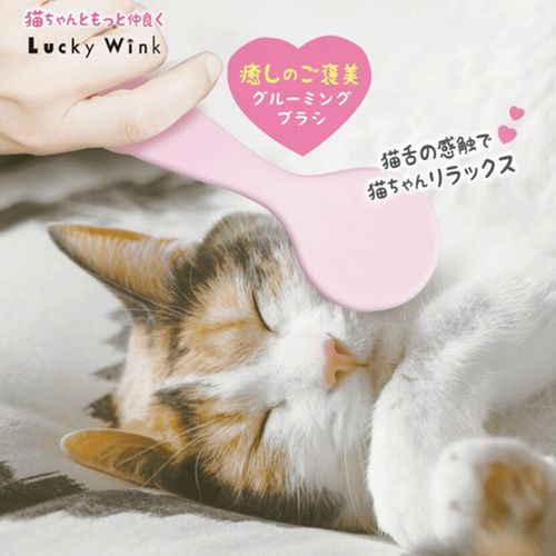 4903329986177



CTT800



ビューティーワールド
猫舌とろん