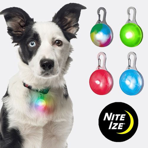 0094664012554







プラッツ
NITEIZE ナイトアイズ スポットリット