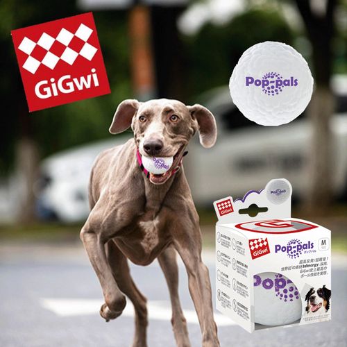 0846295085168



GW8518



プラッツ
GiGwi ポップパル M