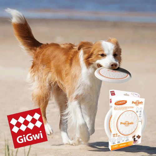 4979007102306



GW6952



プラッツ
GiGwi ポップパル フライングディスク