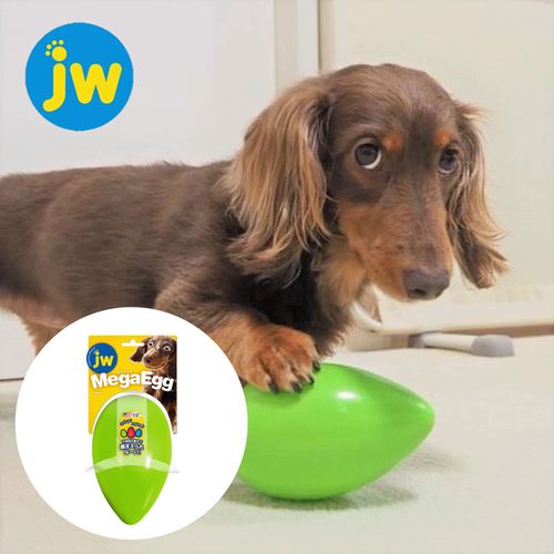 4979007716718







プラッツ
JW メガエッグ S