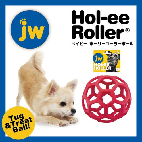 4979007714684







プラッツ
JW ホーリーローラーボール L