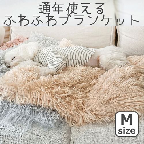 4580756811717







ペティファーム
ふわふわマカロンブランケット M