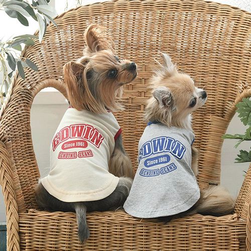 4905414312670







トレードワークス
EDWIN カレッジロゴリンガータンク