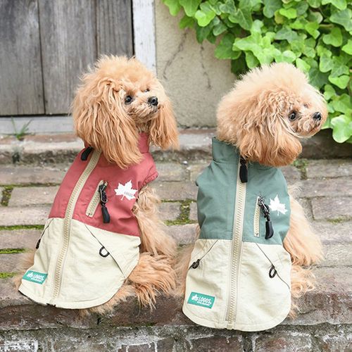 4905414388026







トレードワークス
LOGOS 切替ナイロンジャケット