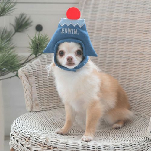 4905414328695







トレードワークス
EDWIN ペット用かぶりもの 富士山