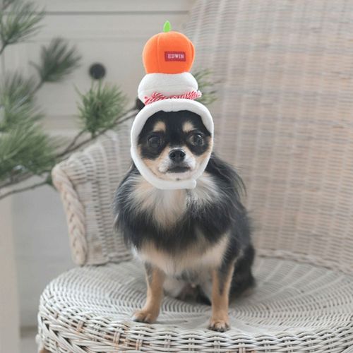 4905414328718







トレードワークス
EDWIN ペット用かぶりもの 鏡餅