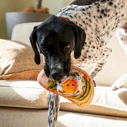 4997337098649



Y-0839



ダルトン
PLUSH TOY AVOCADO EGG TOAST