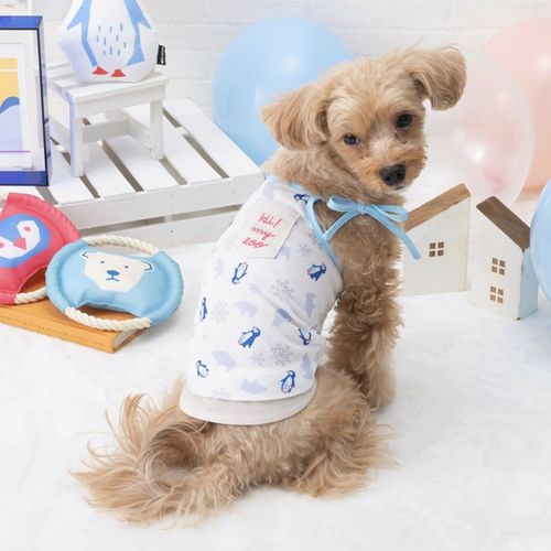 4952070586242







小泉　ライフテックスカンパニー
HI！MY ZOO クールリボンキャミ ペンギン／シロクマ