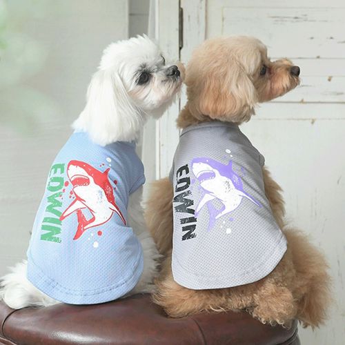 4905414330575







トレードワークス
シャークメッシュタンク