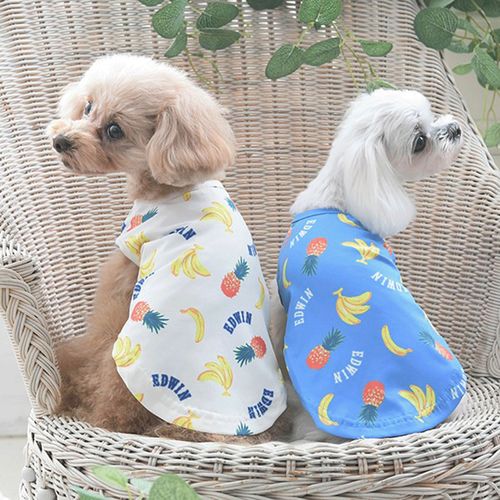 4905414330810







トレードワークス
トロピカルクールタンク