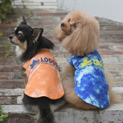 4905414380594







トレードワークス
サマースプラッシュタンク