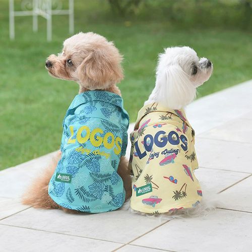 4905414381546







トレードワークス
リゾートシャツ