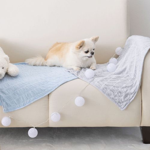 4952070586792







小泉　ライフテックスカンパニー
ゆきごこち クールケット