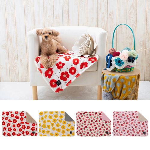 4952070589632







小泉　ライフテックスカンパニー
フランミン ブランケット