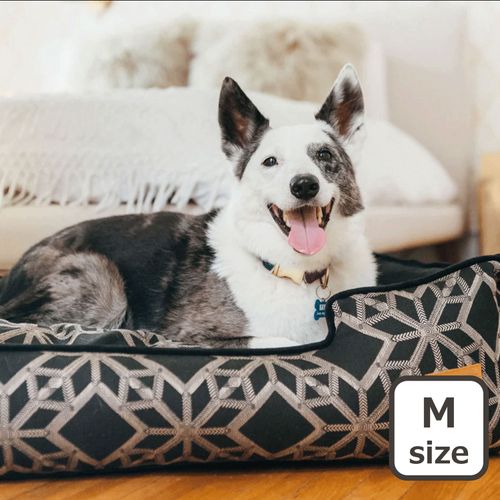 817152017547







ルークラン
プレイ ラウンジベッド ソルスティス Mサイズ