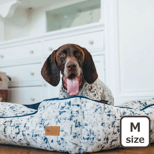 817152017622







ルークラン
プレイ ラウンジベッド セレスチアル Mサイズ