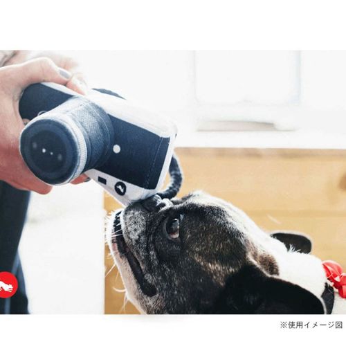 817152015994







ルークラン
プレイ 犬用おもちゃ グローブトロッター カメラ