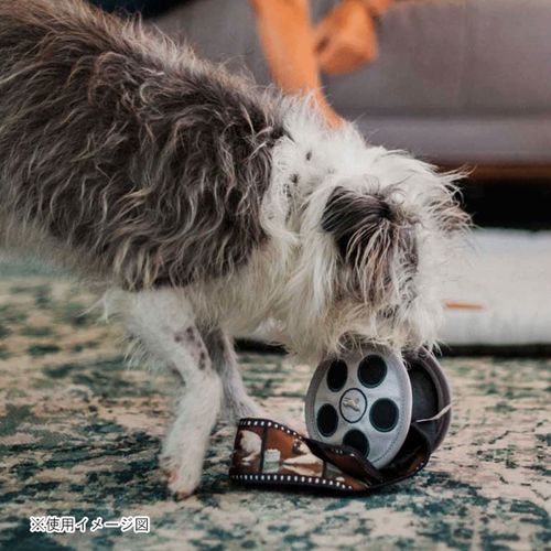 817152018964







ルークラン
プレイ 犬用おもちゃ ホーリーウーフシネマ ムービーフィルム