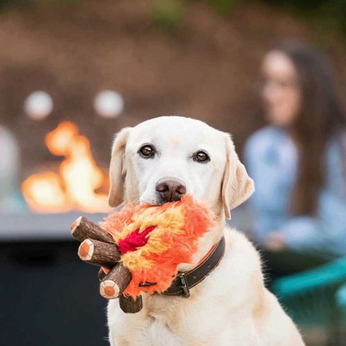 817152019473







ルークラン
プレイ 犬用おもちゃ キャンプコーヴィン キャンプファイヤー