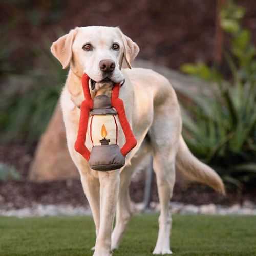 817152019497







ルークラン
プレイ 犬用おもちゃ キャンプコーヴィン ランタン