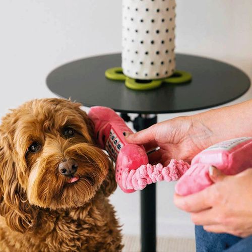 840279500500







ルークラン
プレイ 犬用おもちゃ 80’sクラシック コードフォン