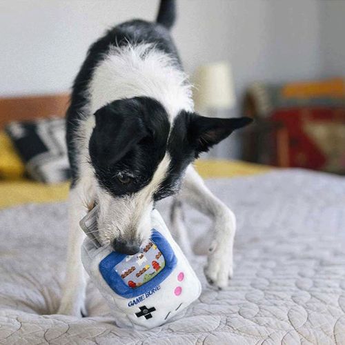 840279501071







ルークラン
プレイ 犬用おもちゃ 90’sクラシック ゲームボーン