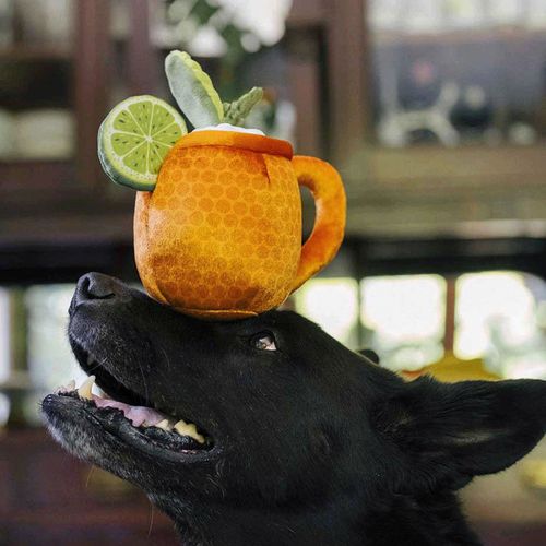 840279501644







ルークラン
プレイ 犬用おもちゃ バークテンダー モスコミュール