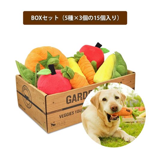 817152012733







ルークラン
プレイ 犬用おもちゃ ガーデンフレッシュBOXセット