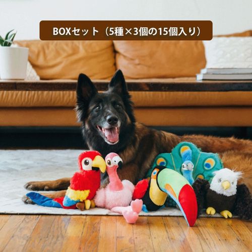 817152017929







ルークラン
プレイ 犬用おもちゃ フェッチングフロックBOXセット